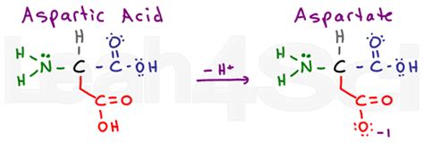 Understanding Amino Acid Side Chain Characteristics for the MCAT