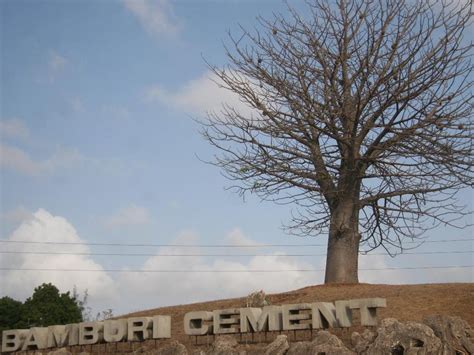 Bamburi Cement reports flat profit growth, to pay Sh. 12 dividend