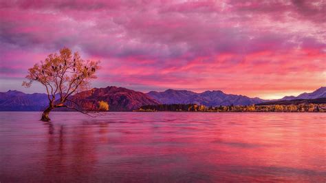 The Wanaka Sunrise Photograph by Kumar Annamalai - Fine Art America