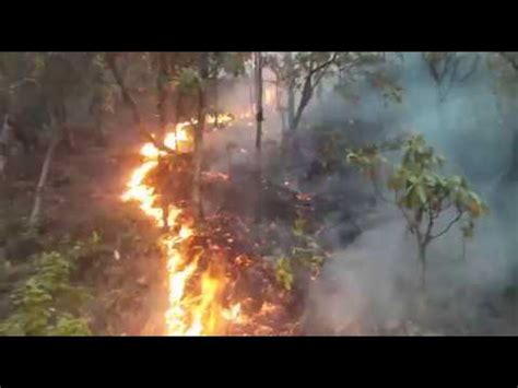 Most dangerous Forest fire in Nepal - YouTube