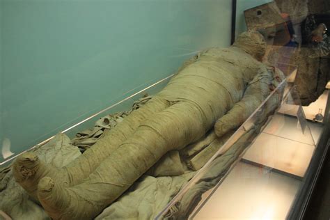 Mummy wrapped in bandages | At the Egyptian Museum in Turin | Flickr