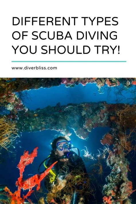 Types Of Diving: 13 Different Kinds Of Scuba You Need To Try Next