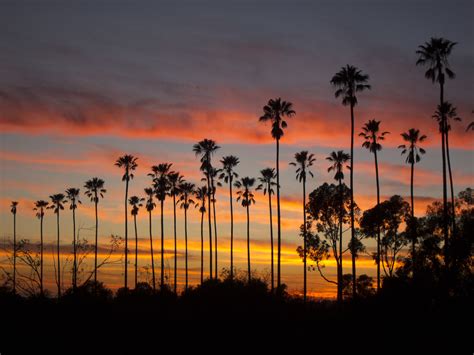 IMG_0563 | Elysian Park Sunset 2/9 | Timothy Swope | Flickr