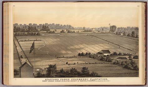 Stafford Forge Cranberry Plantation, West Creek, N.J. - David Rumsey Historical Map Collection