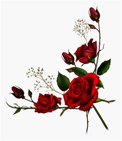 Transparent Vine Border Clipart - Red Roses Border Png, Png Download , Transparent Png Image ...