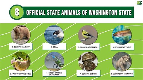 Discover the 8 Official State Animals of Washington State - A-Z Animals