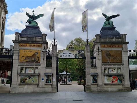 Best 5 things to do in Zoo Antwerp