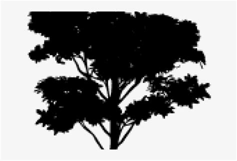 Tree Vector Png - Photoshop Trees - Free Transparent PNG Download - PNGkey