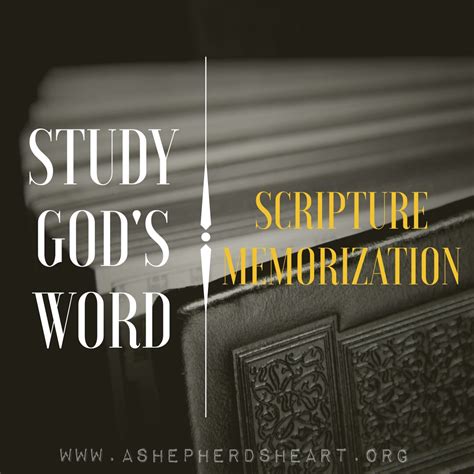 A Shepherd's Heart: The Bible is Essential Part 3 - Scripture Memorization and Tips.