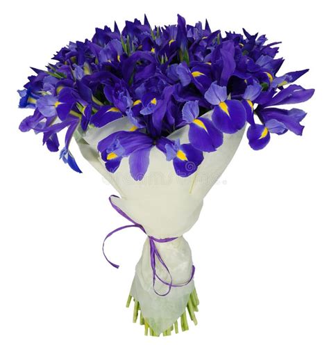 Bouquet of Irises in Package Stock Image - Image of beautiful, irises: 46029905