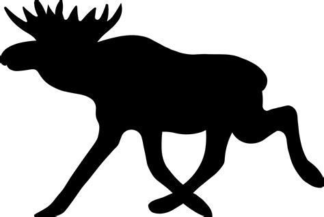 Moose, elk PNG image free download - DWPNG.com