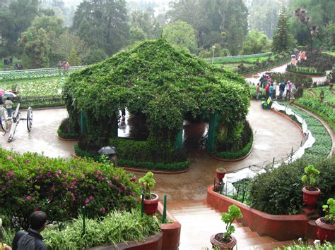 OOTY BOTANICAL GARDENS - OOTY Photos, Images and Wallpapers, HD Images, Near by Images ...