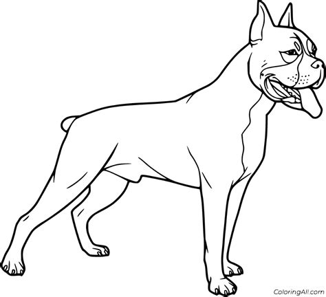 12 free printable Boxer Dog coloring pages, easy to print from any device and automatically fit ...