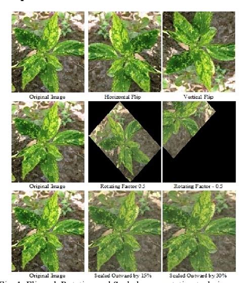 Figure 1 from Recognition of Jute Diseases by Leaf Image Classification using Convolutional ...