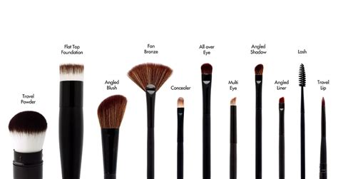 Popular kinds of makeup brushes and their uses | Claetyn Wood