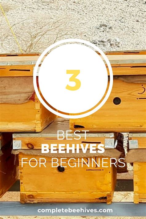 Best Beehive for Beginners | Bee hive, Bee hive kits, Beekeeping starter kit