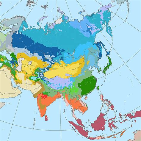 Climate Change in Asia – The Chicago Center for Contemporary Theory