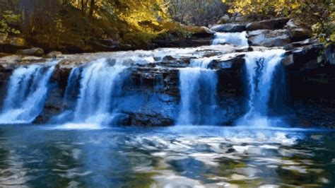 Water Fall Calm GIF - WaterFall Calm Nature - Discover & Share GIFs