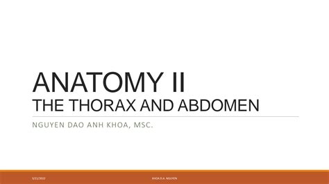 SOLUTION: Anatomy ii thorax and abdomen practical 1 the vertebral column sternum and ribs ...