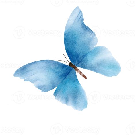 Blue Butterfly Transparent Background