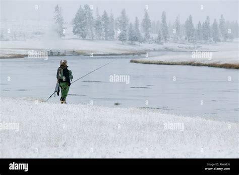 Fishing in Yellowstone Stock Photo - Alamy