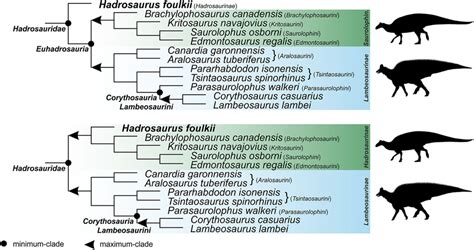 Specifier-based phylogeny of Hadrosauridae showing alternative... | Download Scientific Diagram