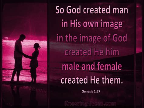 Genesis 1:27 God Created Man In His Own Image (pink)