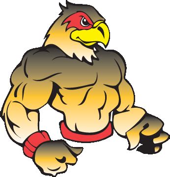 Free Hawk Mascot Cliparts, Download Free Hawk Mascot Cliparts png ...