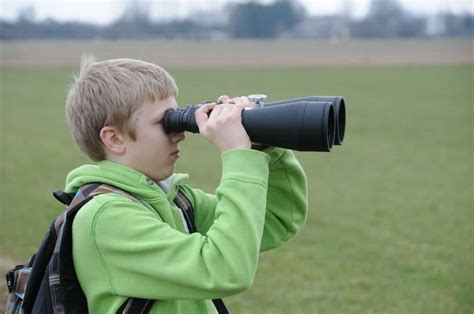 Everything You Need to Know About Bird Watching with Kids