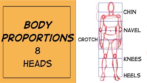 How to draw the HUMAN BODY PROPORTIONS CORRECTLY 8 HEADS - YouTube