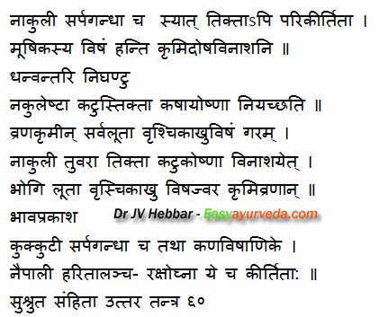 Sarpagandha Rauwolfia serpentina Uses, Side Effects- Ayurveda Details