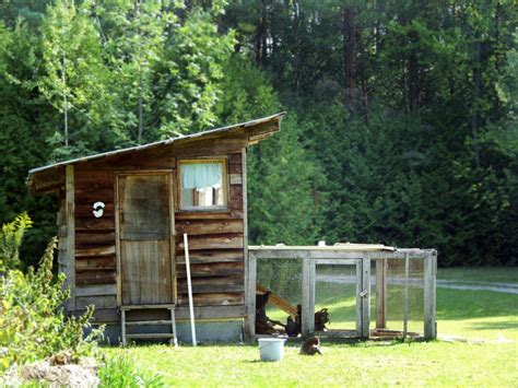 33 Backyard Chicken Coop Ideas