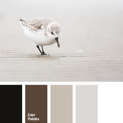 brown and white | Color Palette Ideas