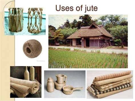 Natural FIber - Jute