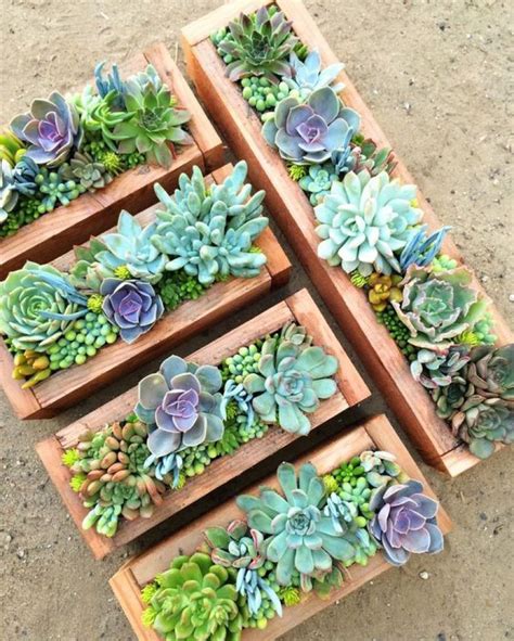 7 ideias para fazer quadros de suculentas em casa | Succulent garden diy, Succulents, Succulents ...