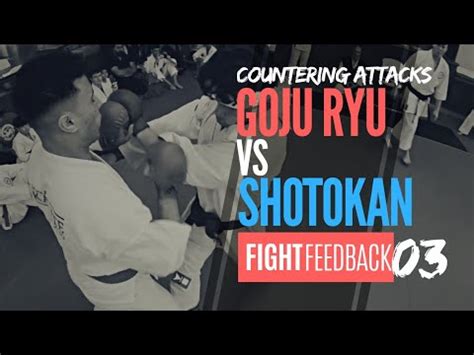 Goju-Ryu vs Shotokan: Countering Attacks | Houston Karate Dojo - YouTube