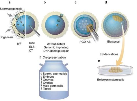 Cryopreservation Services in Delhi by We Care Health Services