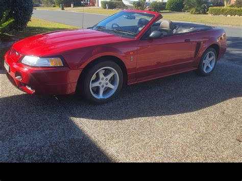 2001 Ford MUSTANG COBRA - scottdowswell - Shannons Club