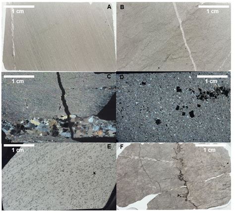 Scans of polish thin sections. A) Sedimentary texture in protolith ...