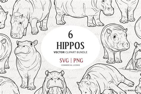 6 Hippos Vector Clipart. Cute Baby Hippopotamus SVG Line Art