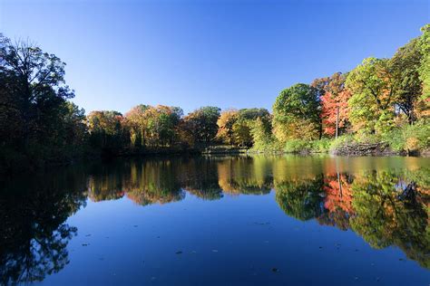 Peaceful Autumn Lake In Illinois by Stevegeer