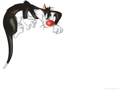 SYLVESTER - Cartoon Classics Wallpaper (1703842) - Fanpop