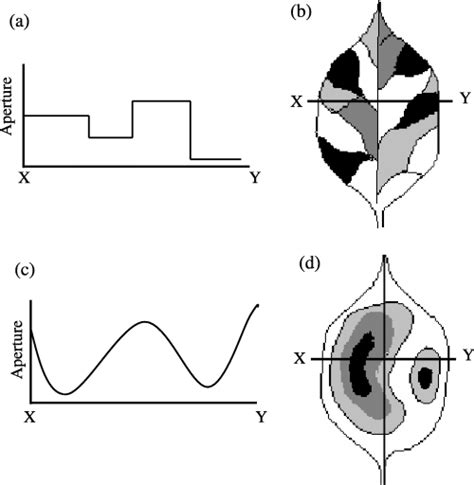 Visualising patterns of CO2 diffusion in leaves - Lawson - 2006 - New ...