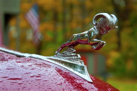 Dodge Ram Hood Ornament by Joann Vitali https://fineartamerica.com ...