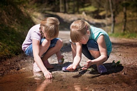 Nature Study Ideas - Homeschool Compass