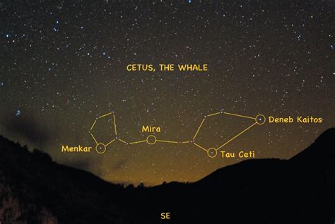 Jimmy Westlake: Cetus: A whale of a constellation | SteamboatToday.com