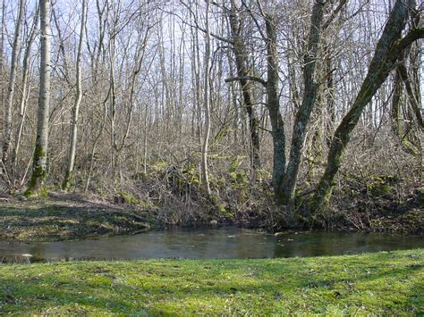 Verdun Battlefield photos