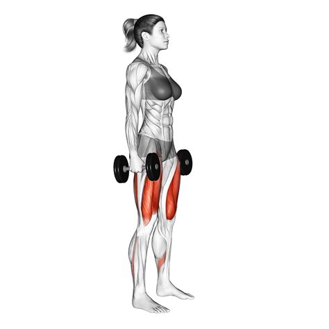 6 Best Compound Dumbbell Exercises (with Pictures!) - Inspire US