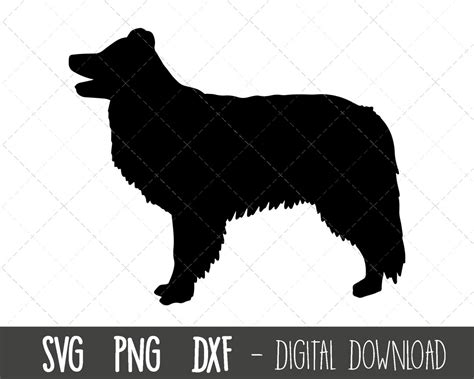 Border Collie Svg, Dog Svg, Border Collie Silhouette, Collie Outline ...