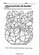 Advanced Color By Number Worksheets  WorksheetsGO sketch template
